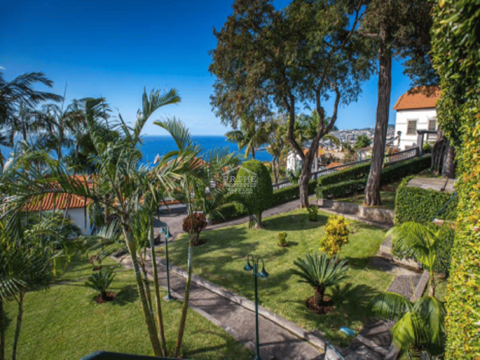 House in Funchal, Madeira 10735549