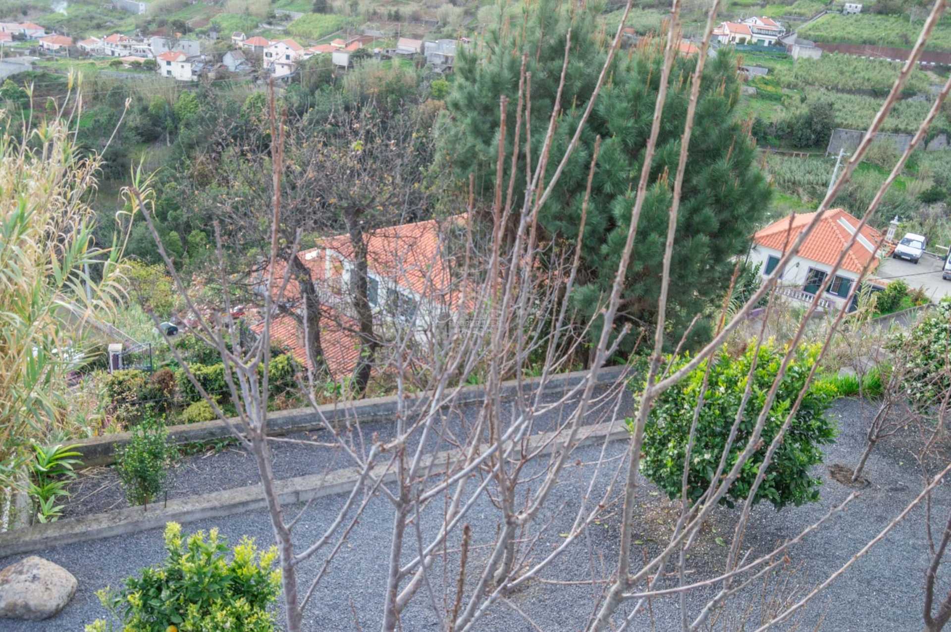 Hus i Ponta Do Sol, Madeira 10735649