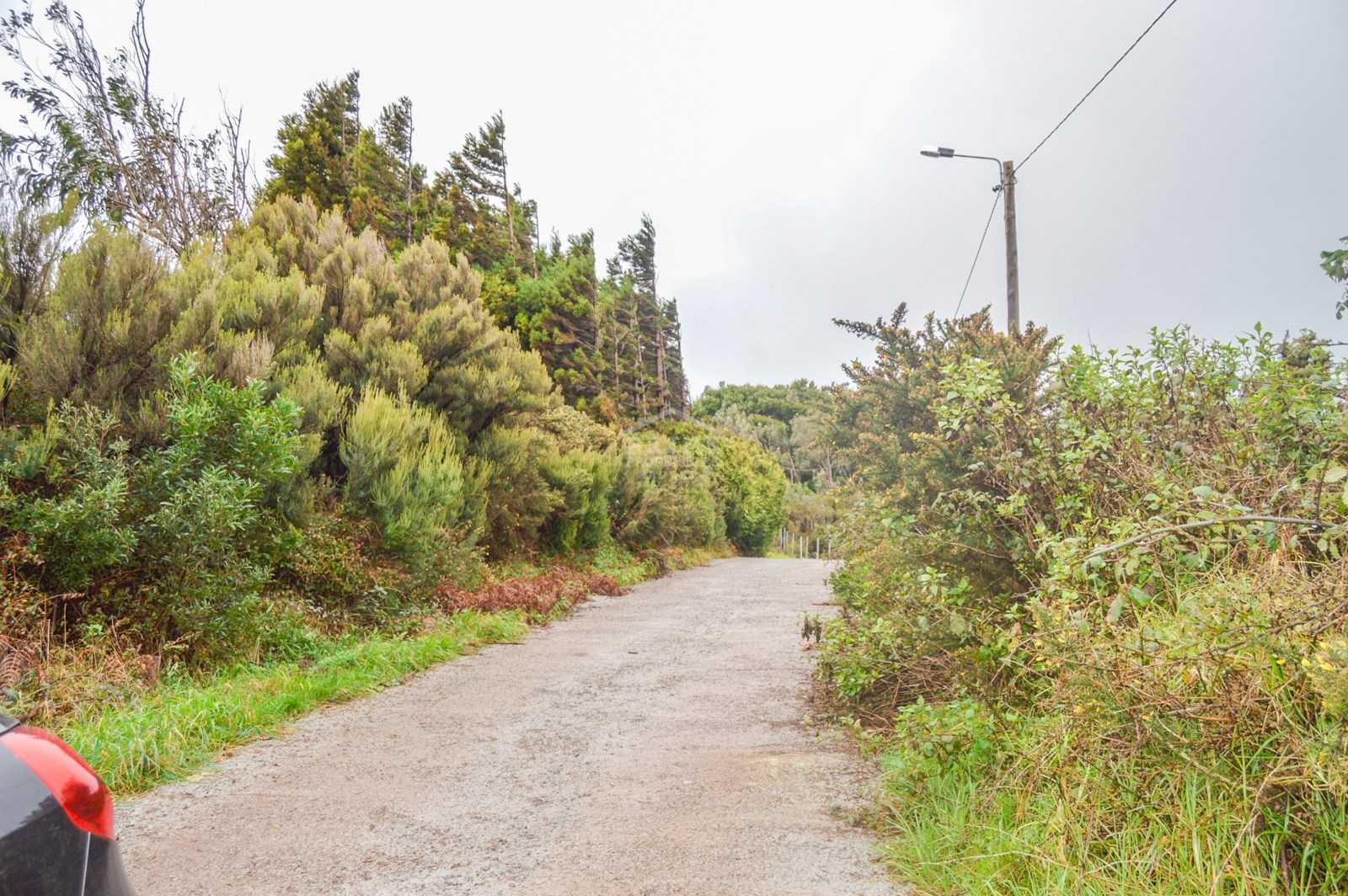 Land in Ribeira Seca, Madeira 10735733