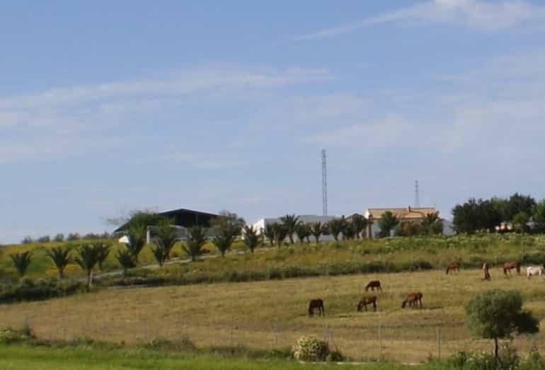 σπίτι σε Morón de la Frontera, Andalucía 10736216