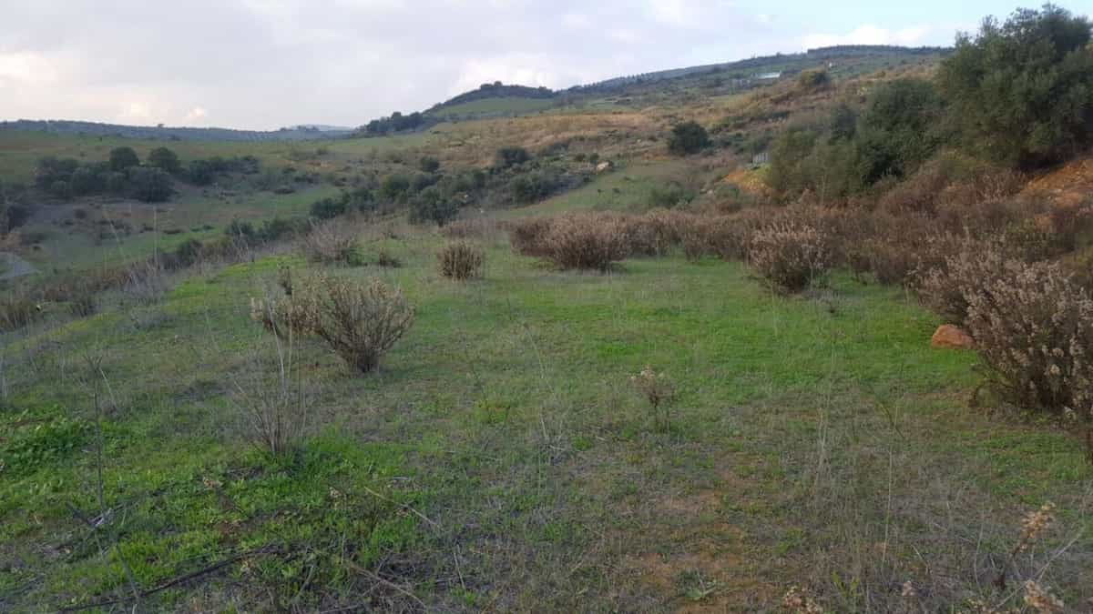 Land in Almachar, Andalusia 10737684