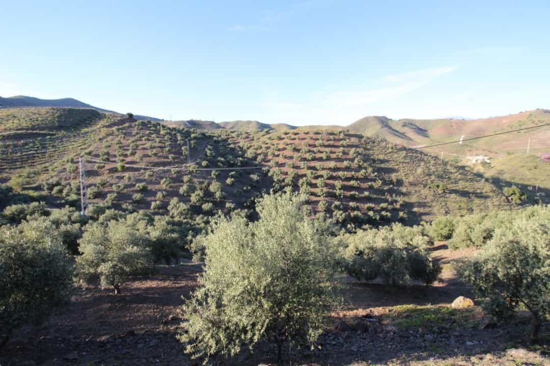土地 在 Benajarafe, Andalucía 10737800