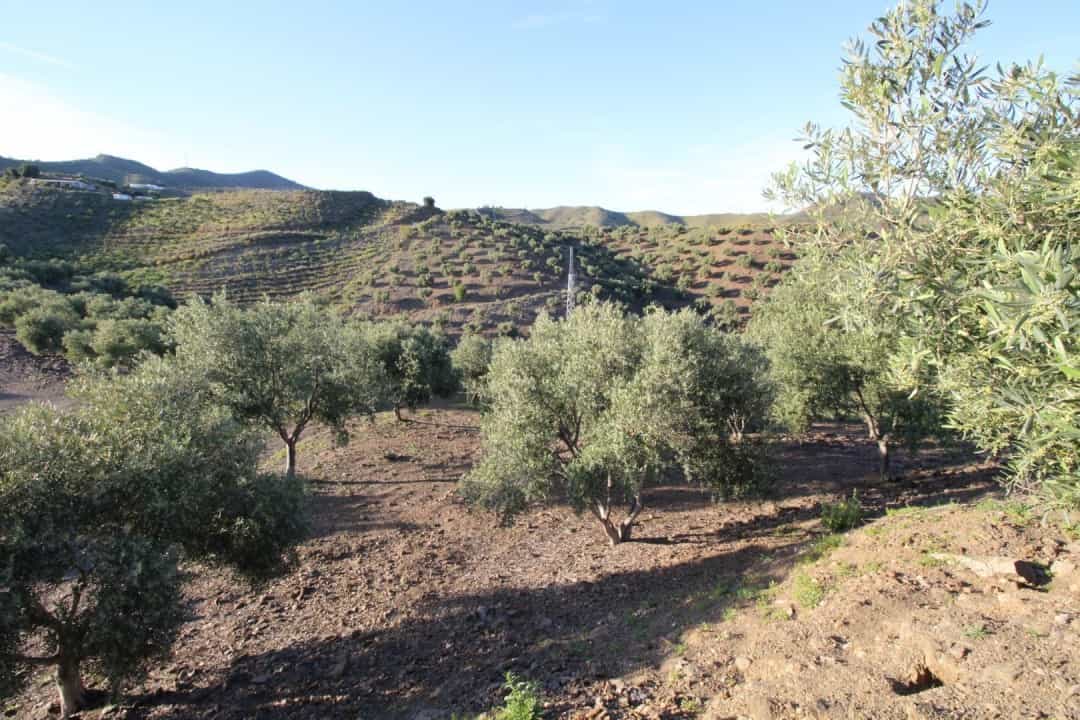 Tanah dalam Benajarafe, Andalucía 10737800