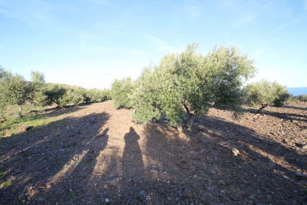 土地 在 Benajarafe, Andalucía 10737800