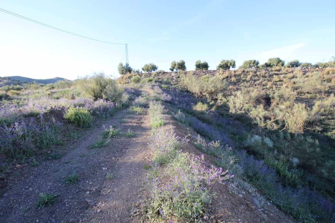 Land in Chilches, Andalusia 10737801
