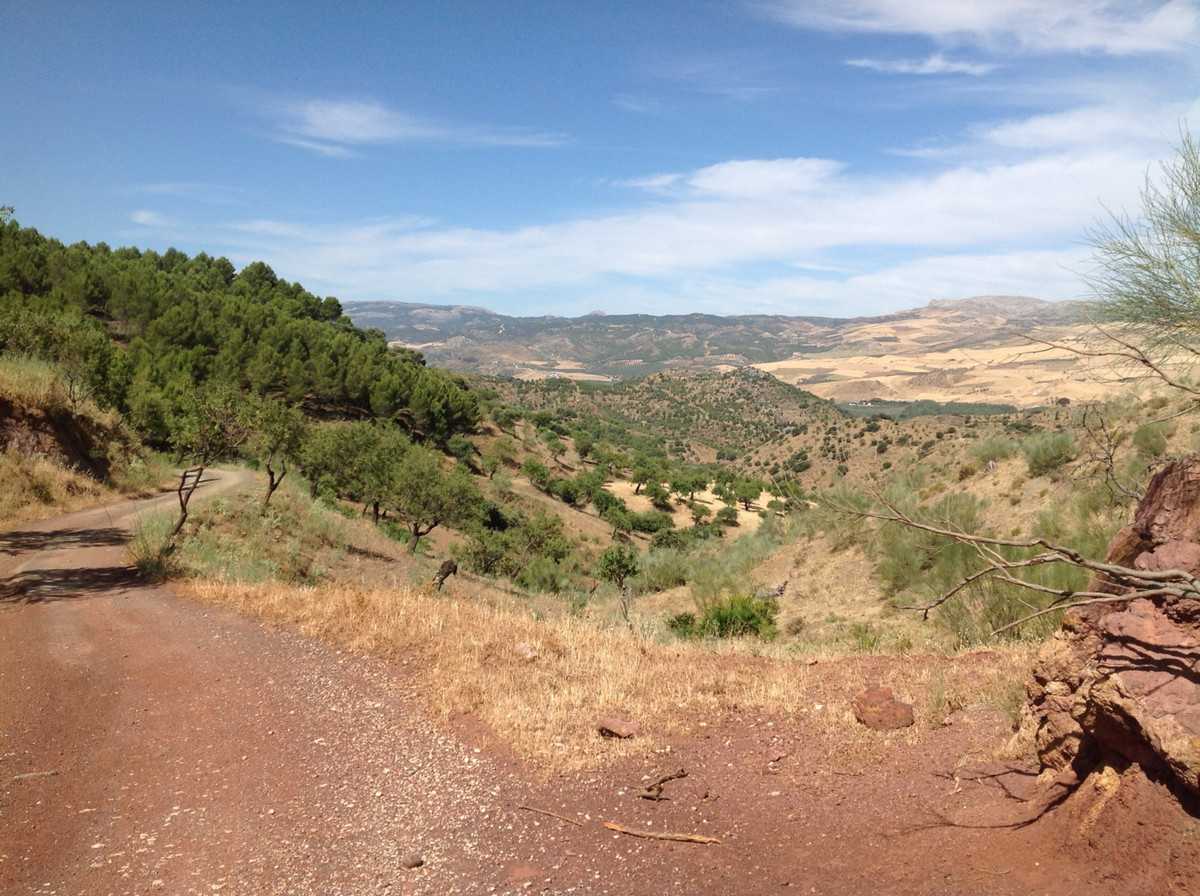 Land in Ardales, Andalusia 10737893