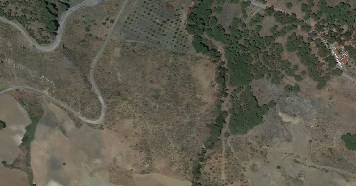 Terre dans Carratraça, Andalousie 10738065