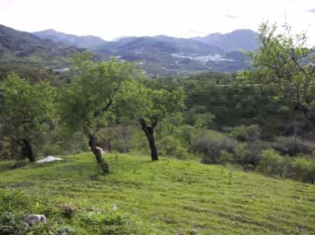 Land in Monda, Andalusia 10738111