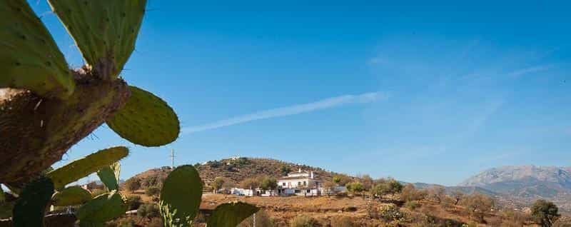 House in Guaro, Andalusia 10738269