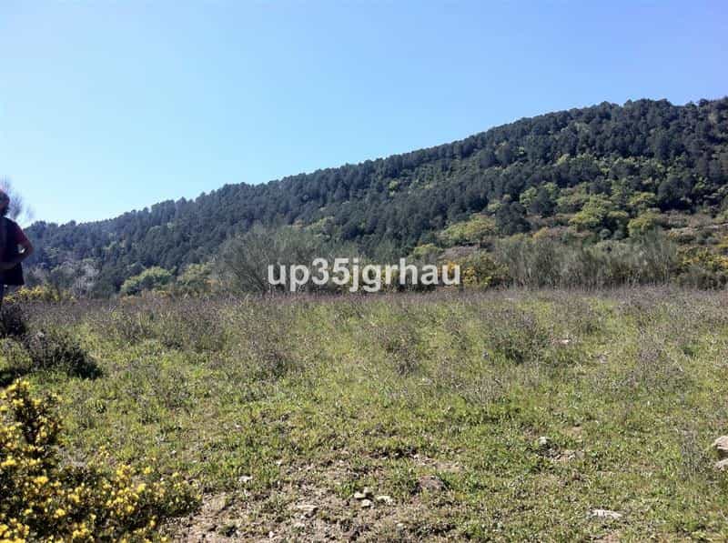 Land in Gaucin, Andalusië 10738306