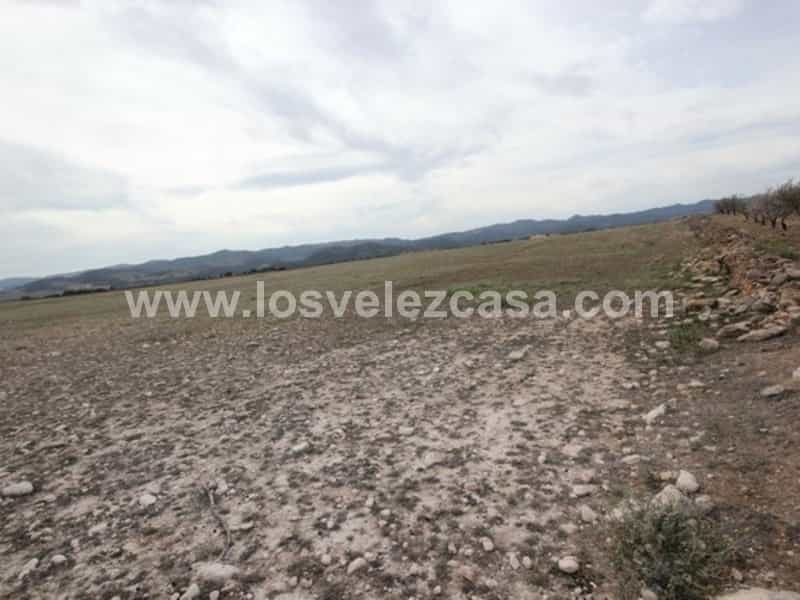 Tanah dalam Zarcilla de Ramos, Murcia 10738646