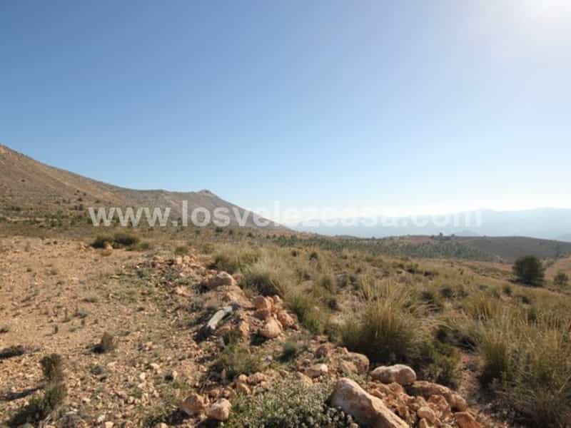 Land in Velez Blanco, Andalusia 10738692