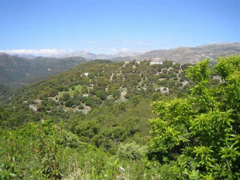 Land in Ronda, Andalusië 10739546