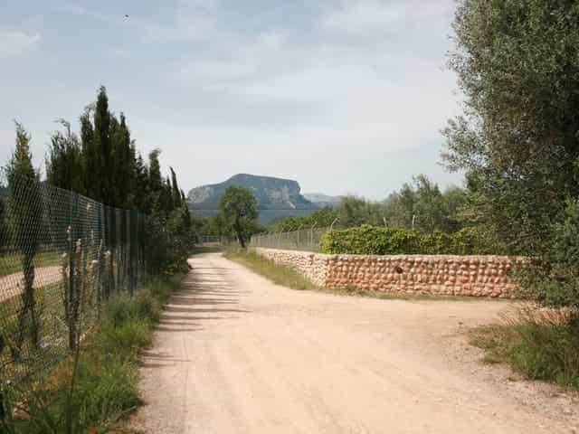 Tanah di Lloseta, Pulau Balearic 10740865