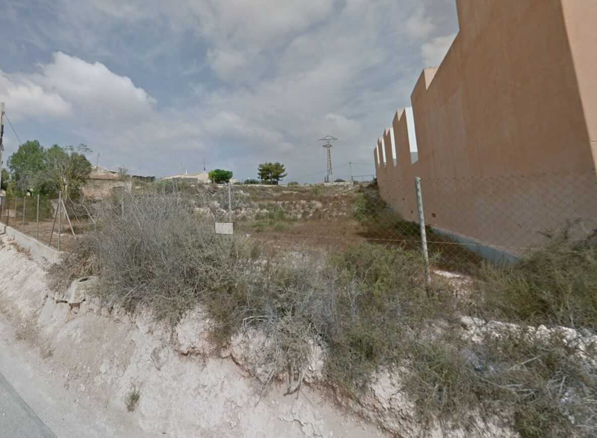 Land i Elx, Comunidad Valenciana 10740933