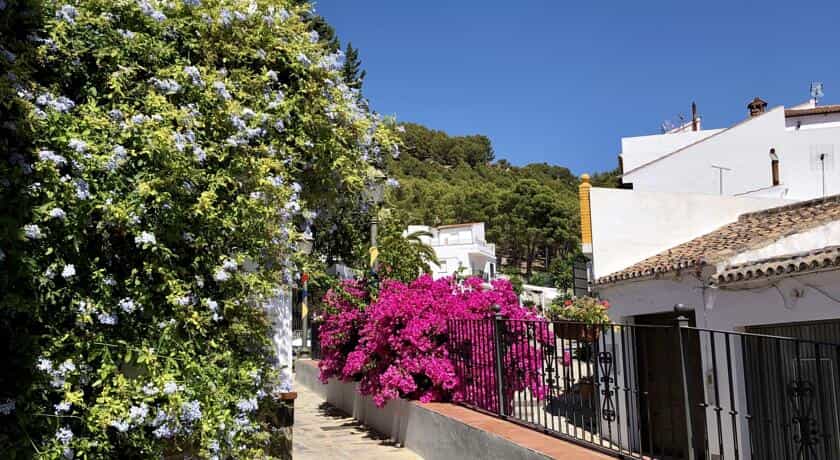Rumah di Montekorto, Andalusia 10742479