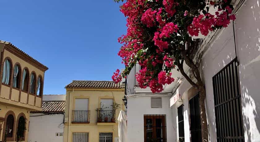 Huis in Montecorto, Andalucía 10742479