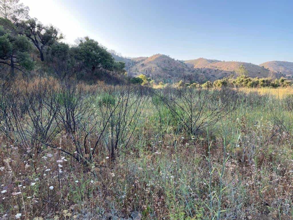 Land in , Faro District 10745471