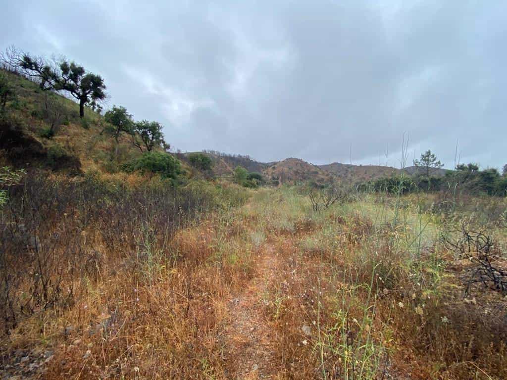 Land in , Faro District 10745471