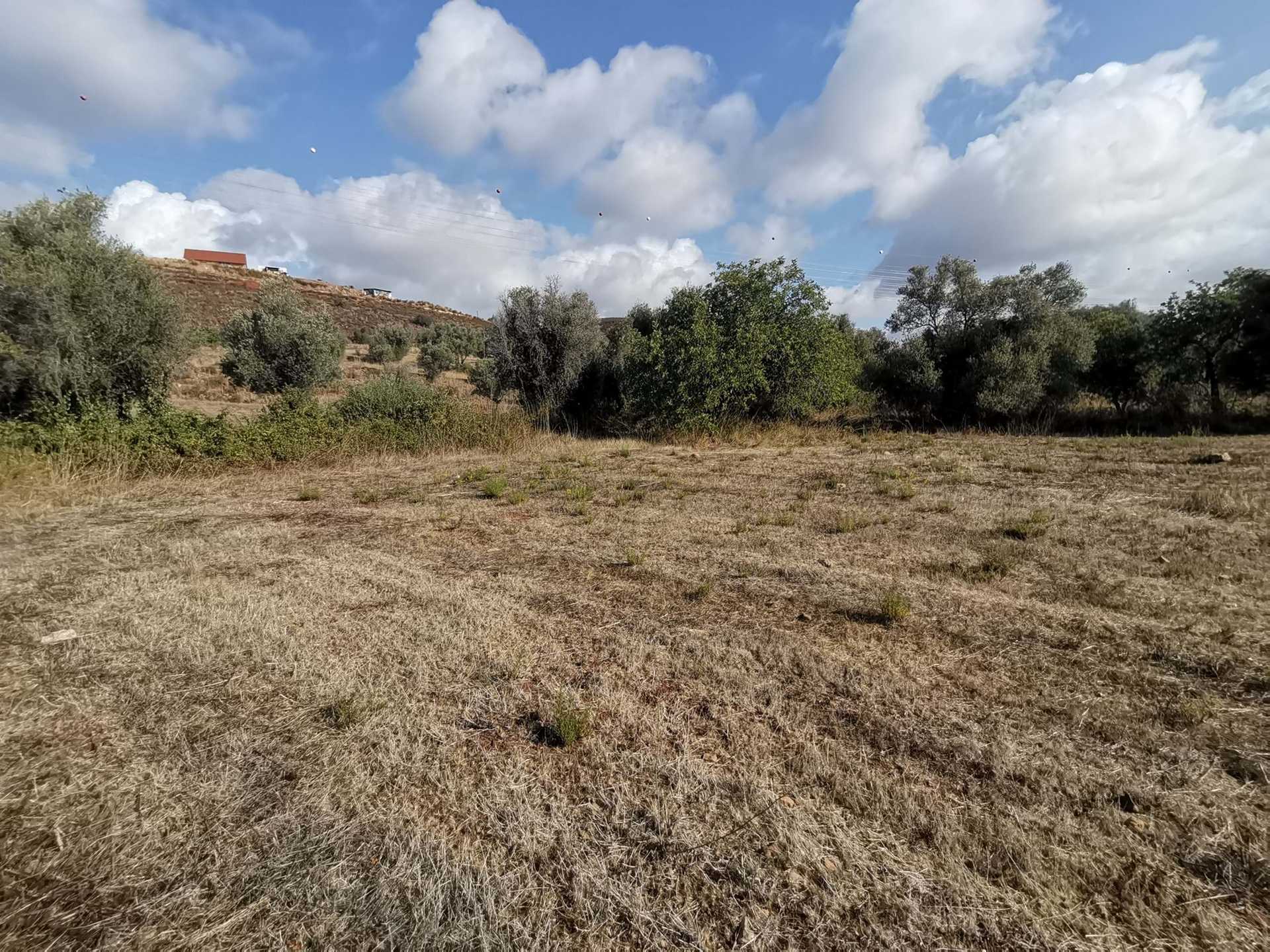 Tanah dalam Mexilhoeira Grande, Faro 10745531