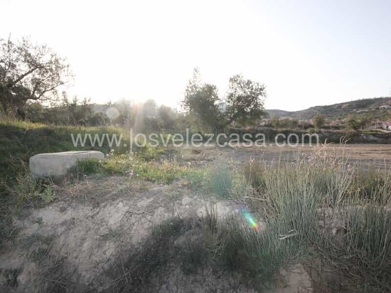 Land in Velez Blanco, Andalusia 10746547