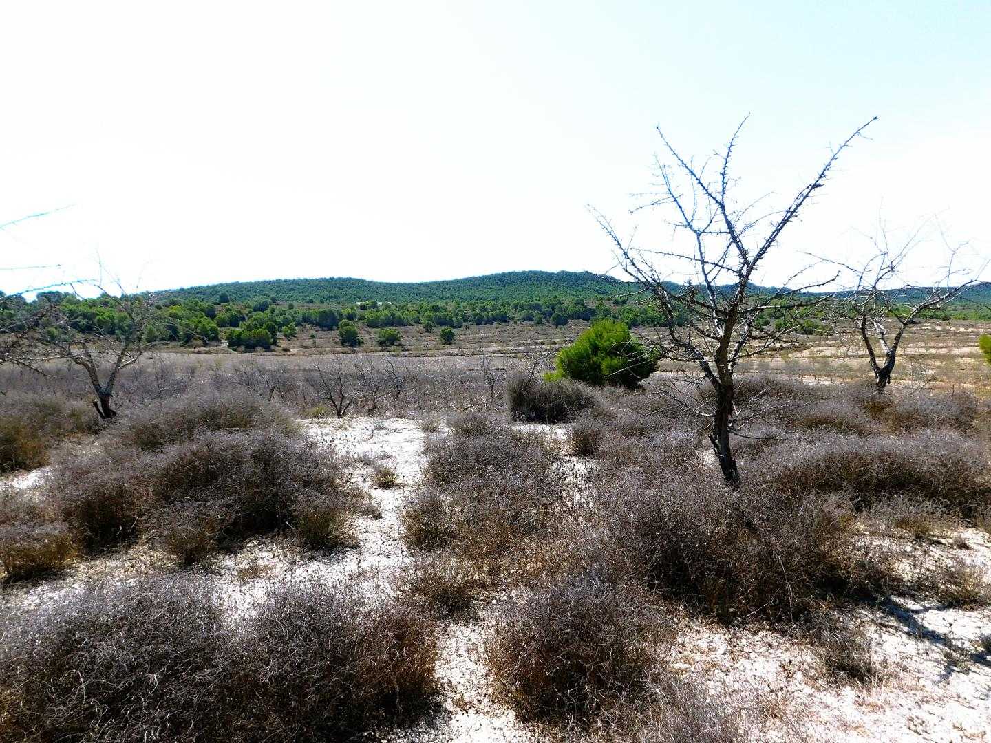 Tanah di Orihuela, Comunidad Valenciana 10747240