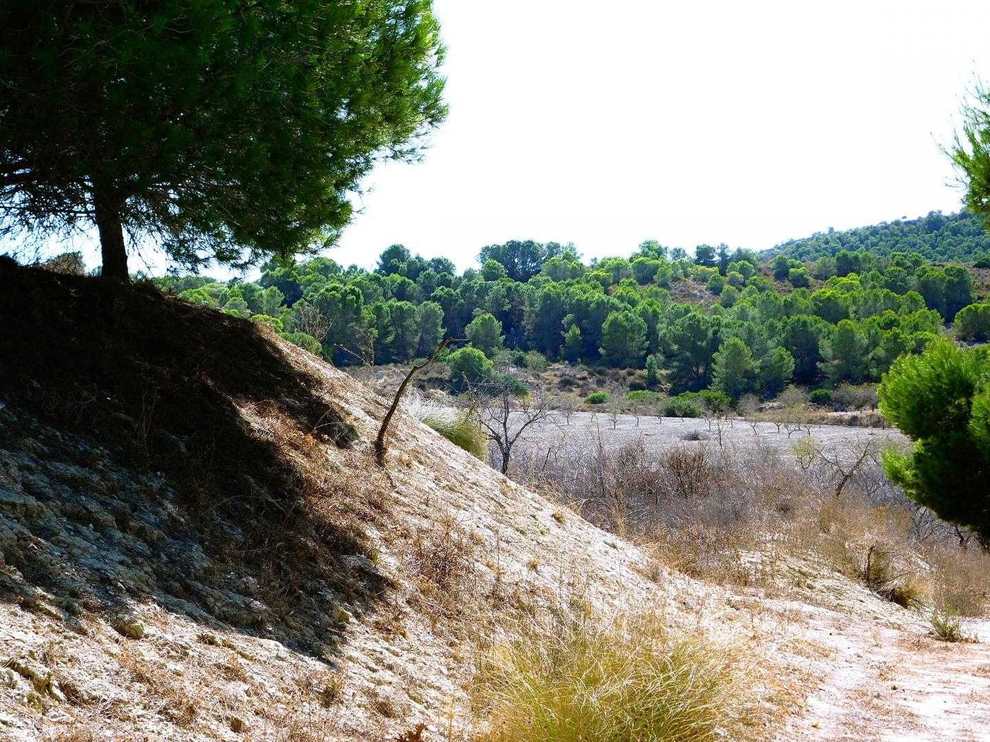 Tanah di Orihuela, Comunidad Valenciana 10747240