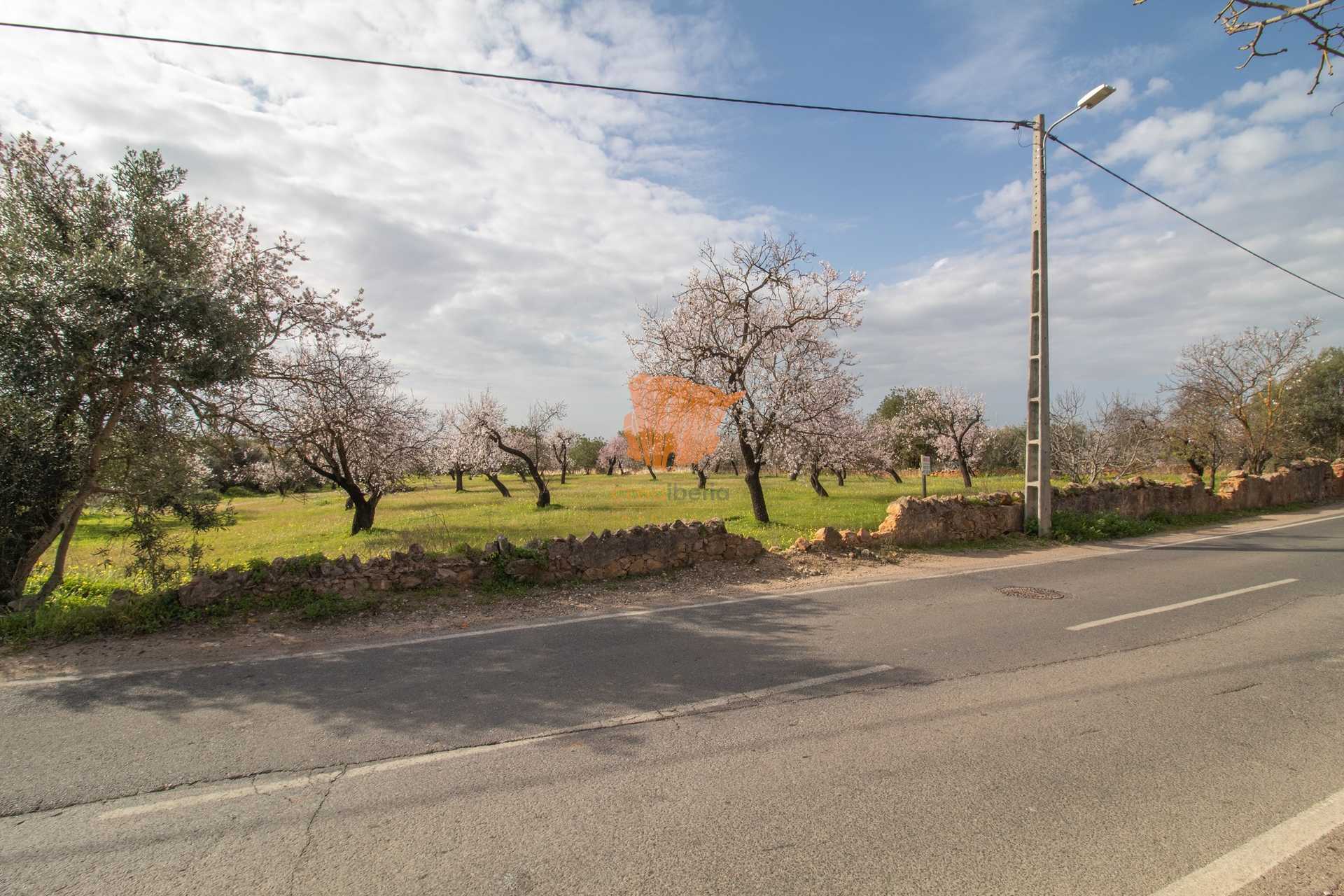 Land in , Faro District 10748025