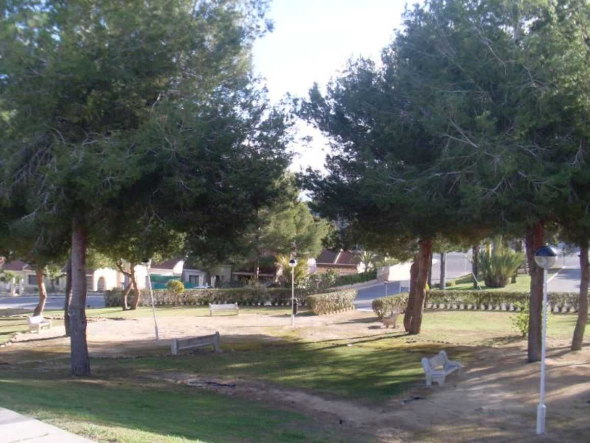 土地 在 San Miguel de Salinas, Comunidad Valenciana 10748257