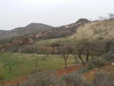 Γη σε Bedar, Ανδαλουσία 10748272