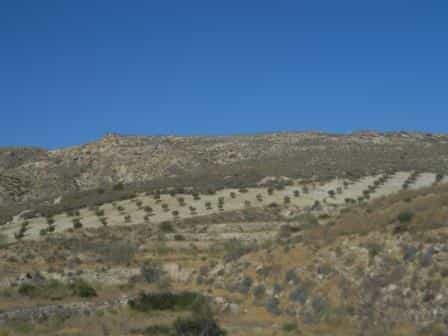 Land in Sorbas, Andalusia 10748281