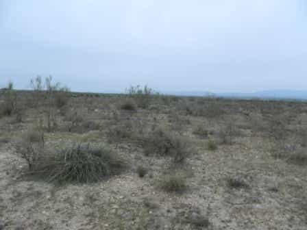 Terre dans Uleila del Campo, Andalousie 10748374