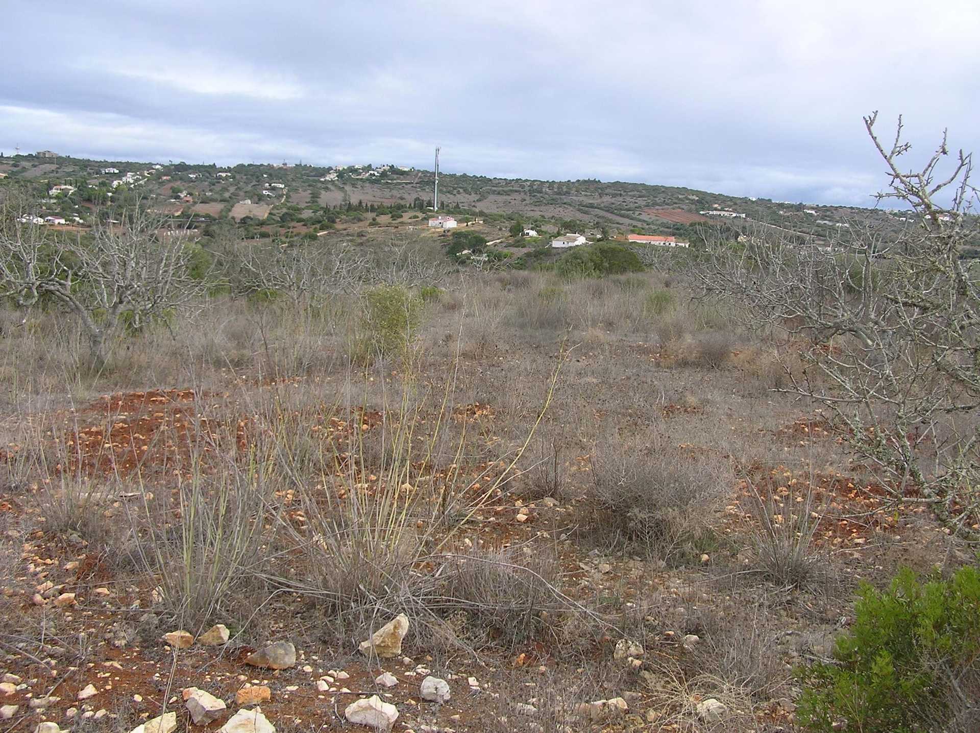 Land in , Faro District 10748848