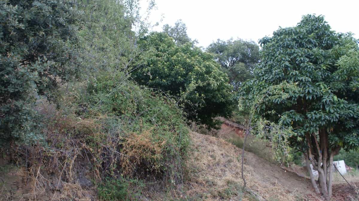 Land in Jubrique, Andalusia 10750125