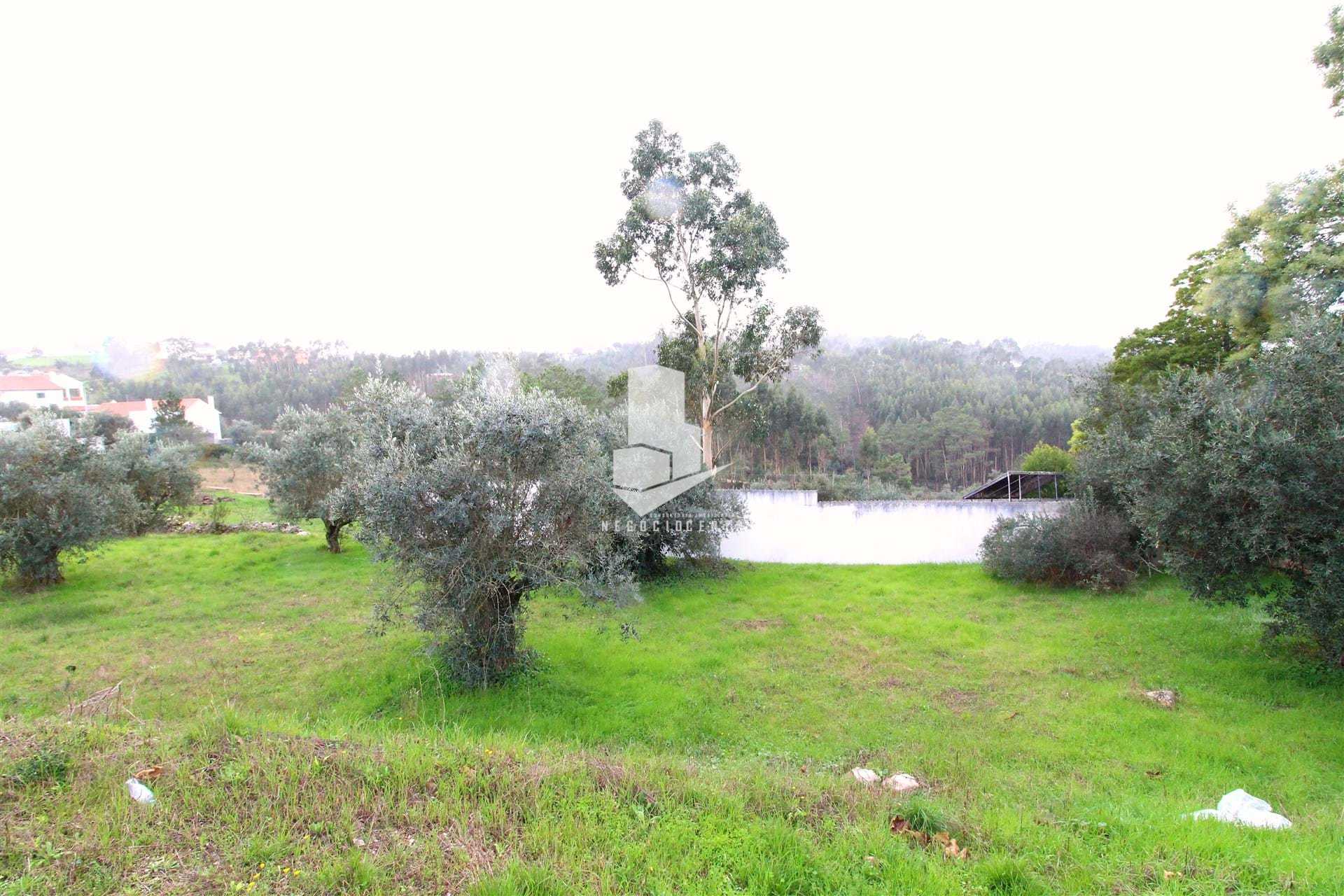 भूमि में Chainça, Leiria District 10751833