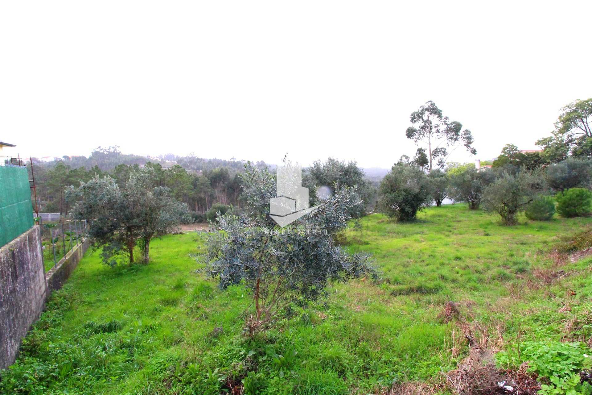 भूमि में Chainça, Leiria District 10751833