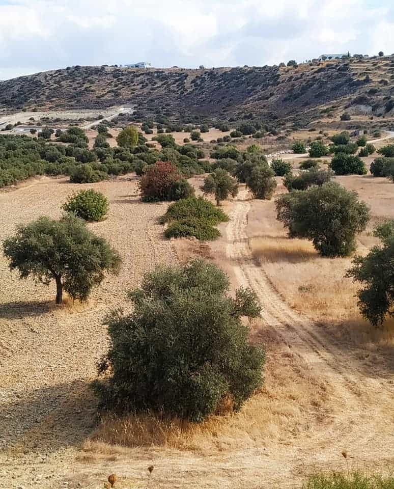 Tanah dalam Agios Athanasios, Lemesos 10756258