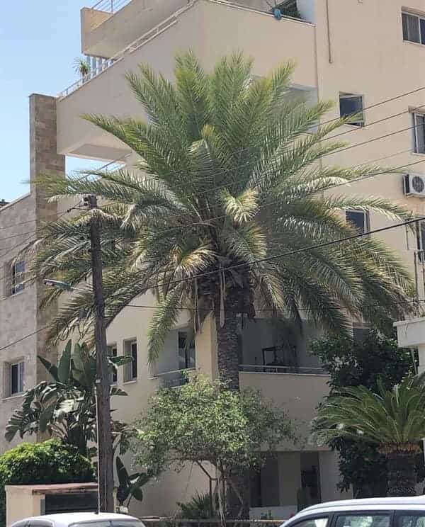 عمارات في Larnaca, Larnaca 10756569