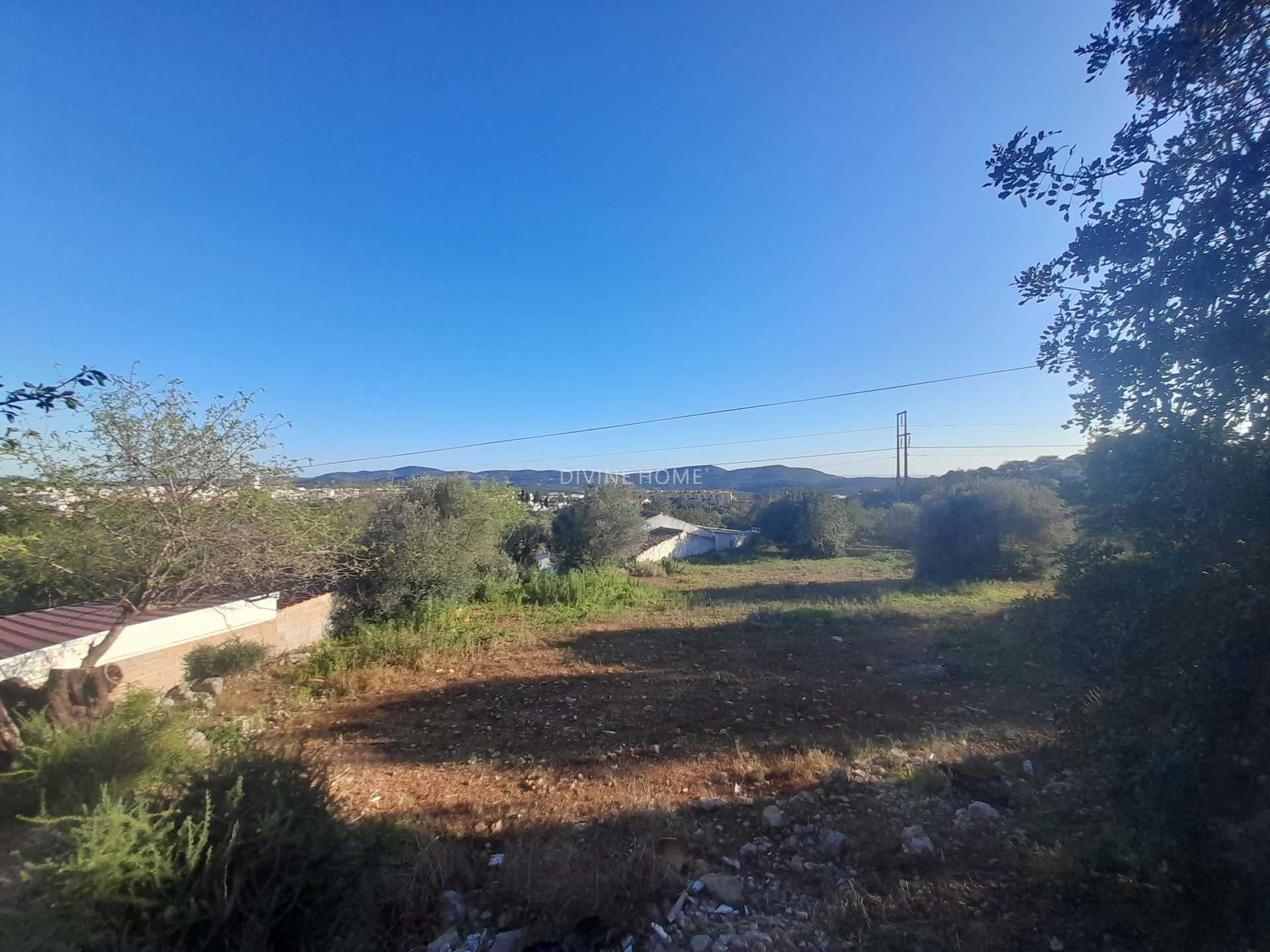 Land i São Brás de Alportel, Faro District 10756588
