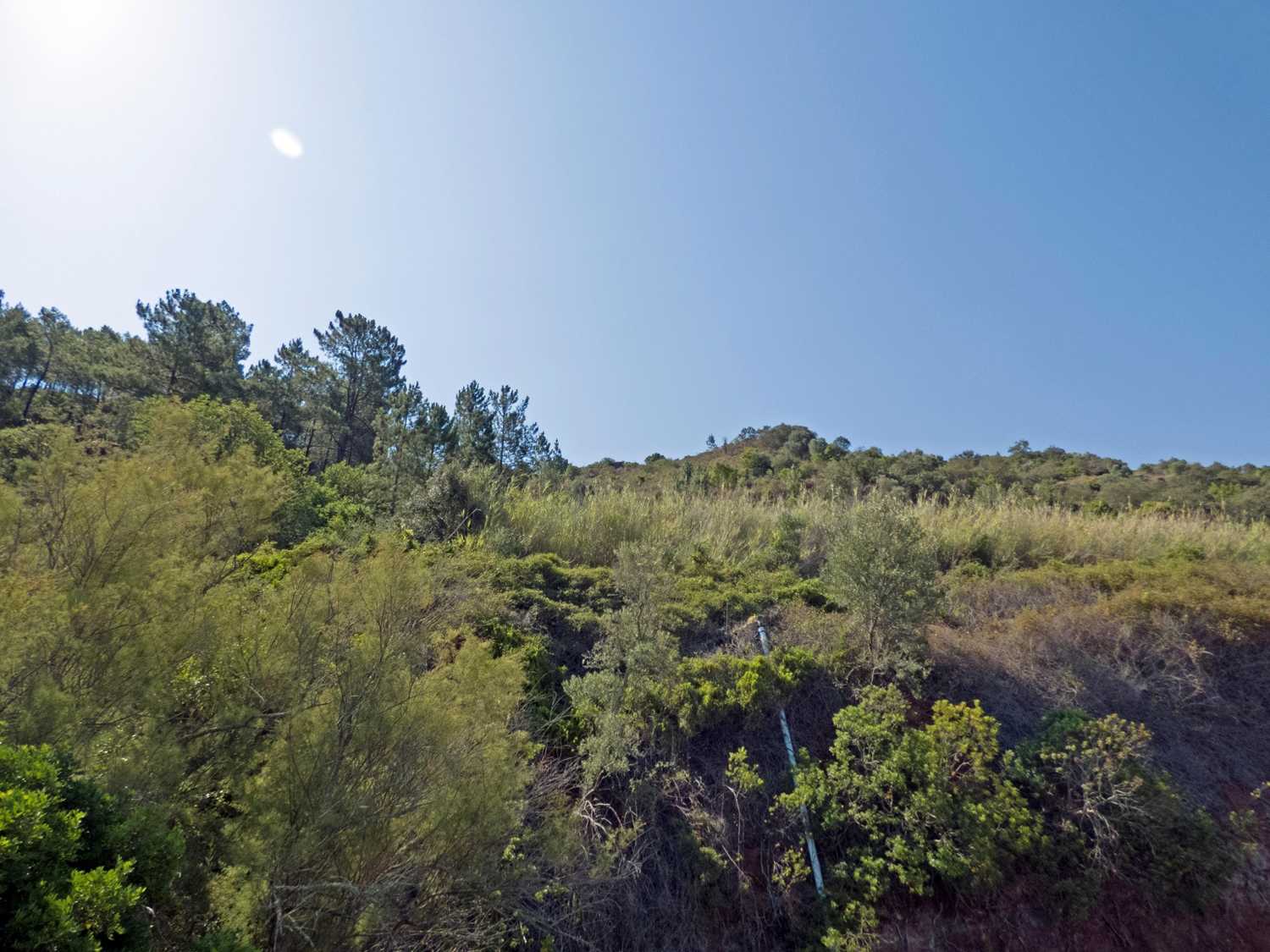 Land in Silves, Faro District 10757502