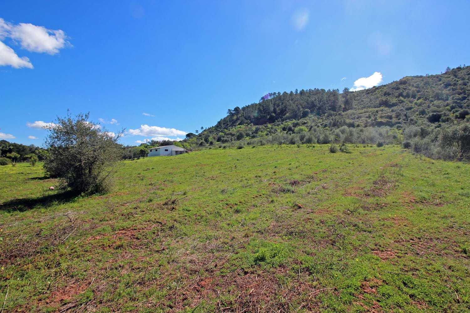 Land in Silves, Faro District 10757502