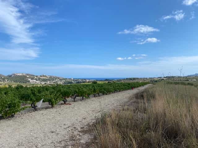 Land in Morayra, Canary Islands 10759561