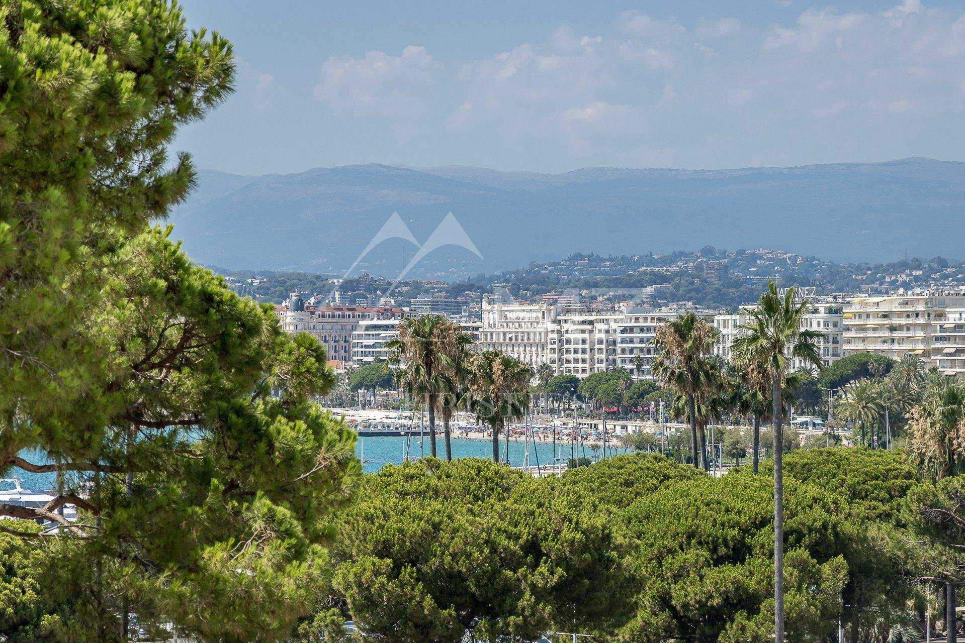 Borettslag i Cannes, Provence-Alpes-Cote d'Azur 10763477