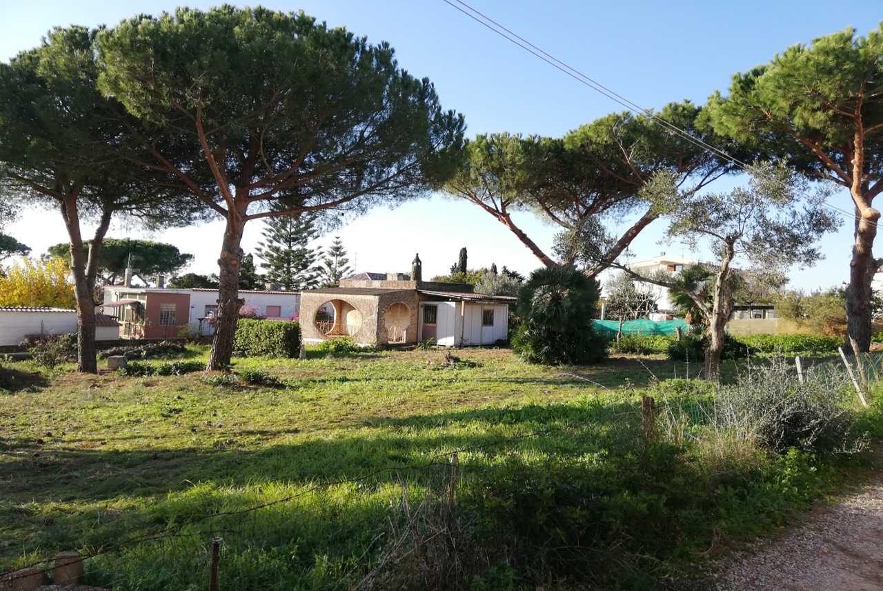 Useita taloja sisään Poggio Martino, 12 Strada delle Boccelle 10763617
