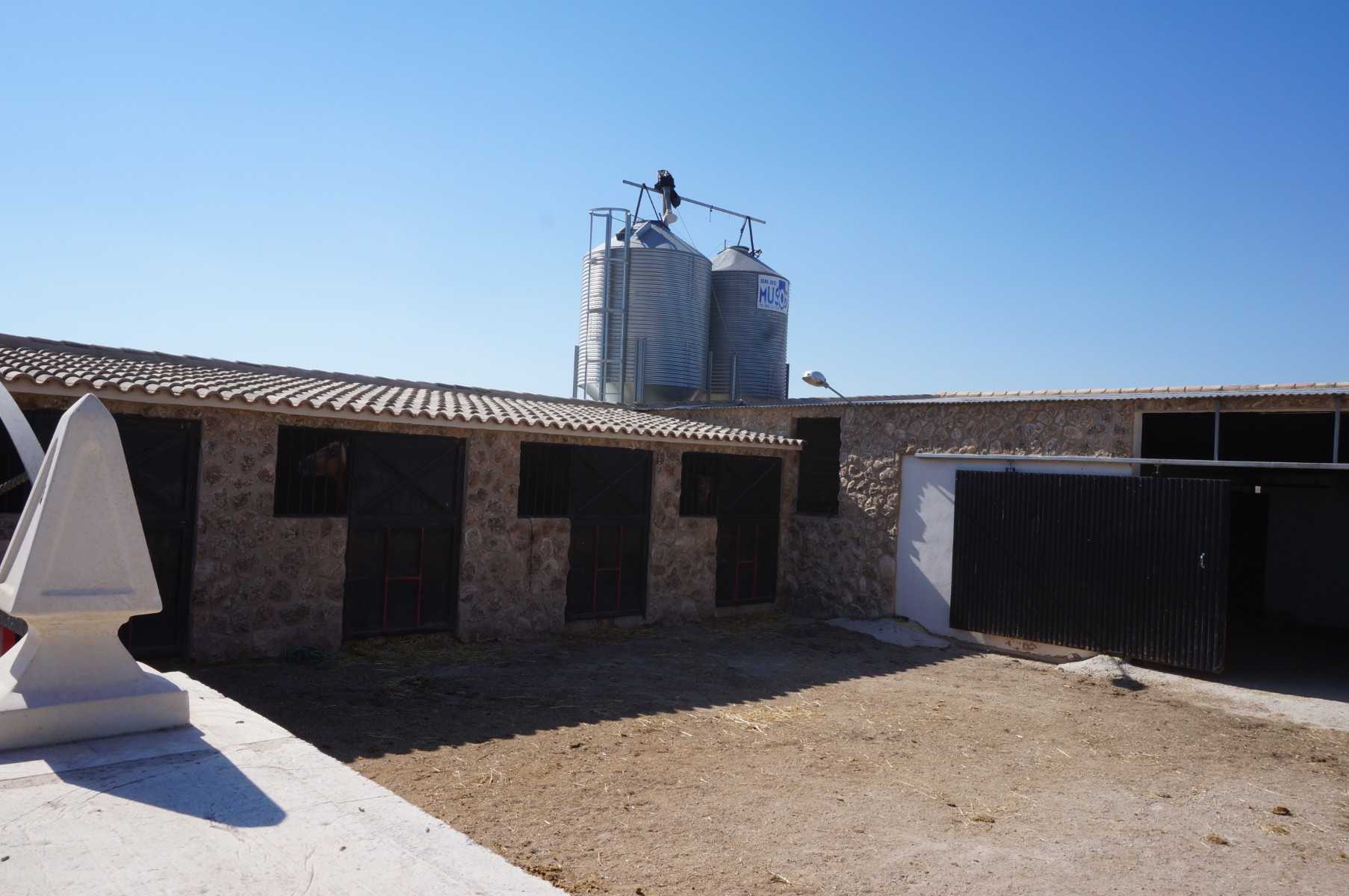 House in Yecla, Murcia 10764811