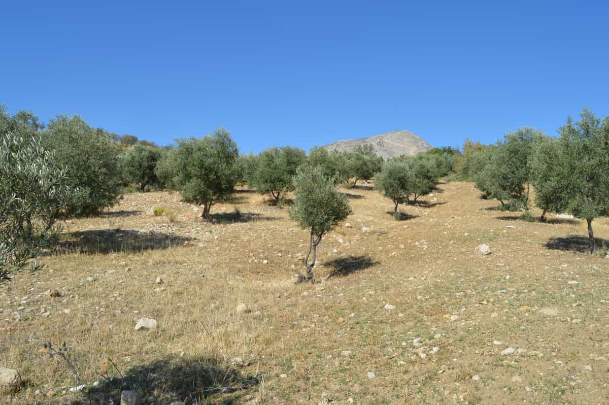 Land in Carratraca, Andalusia 10765009