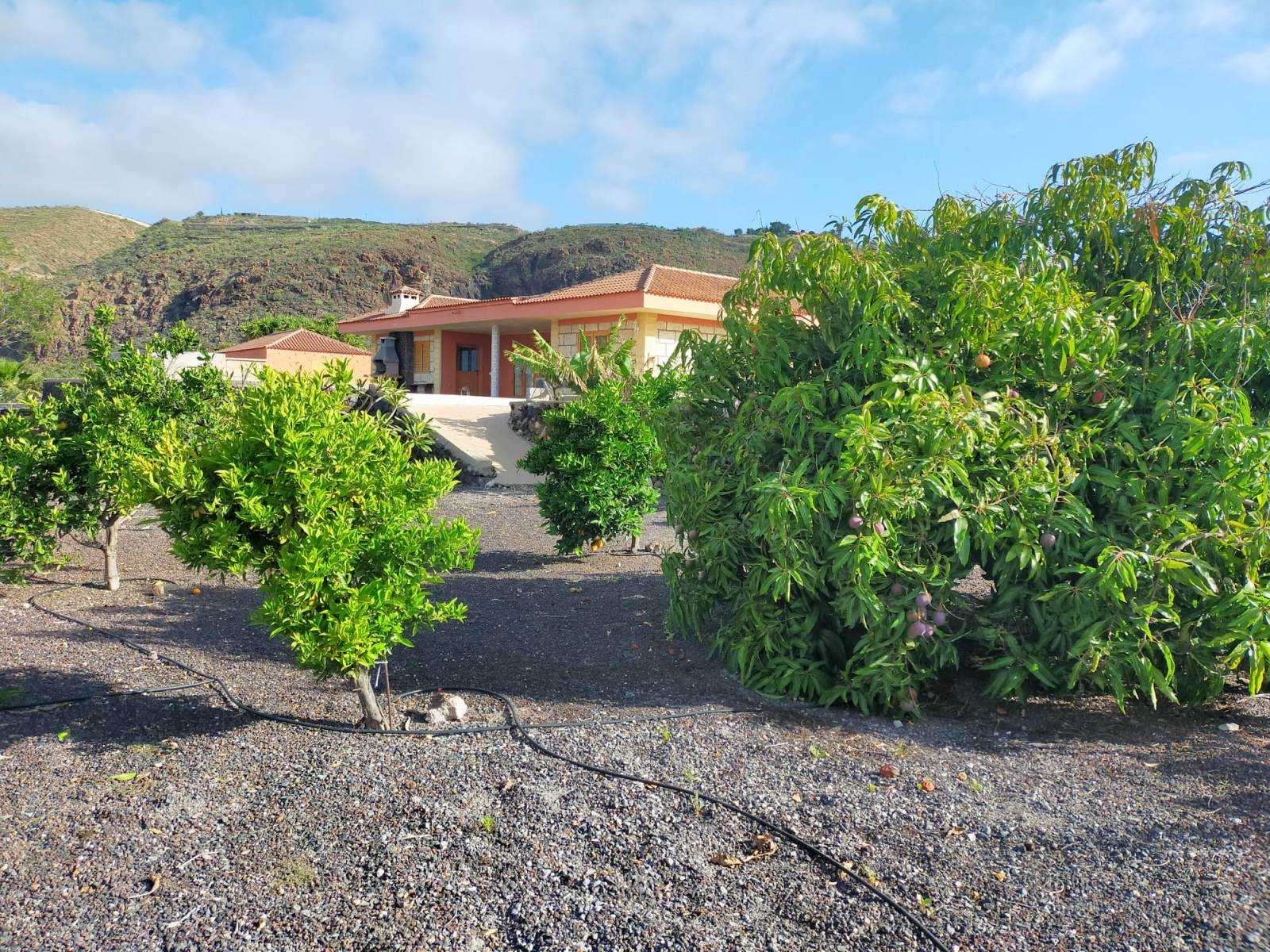 Rumah di San Miguel, Pulau Canary 10765916