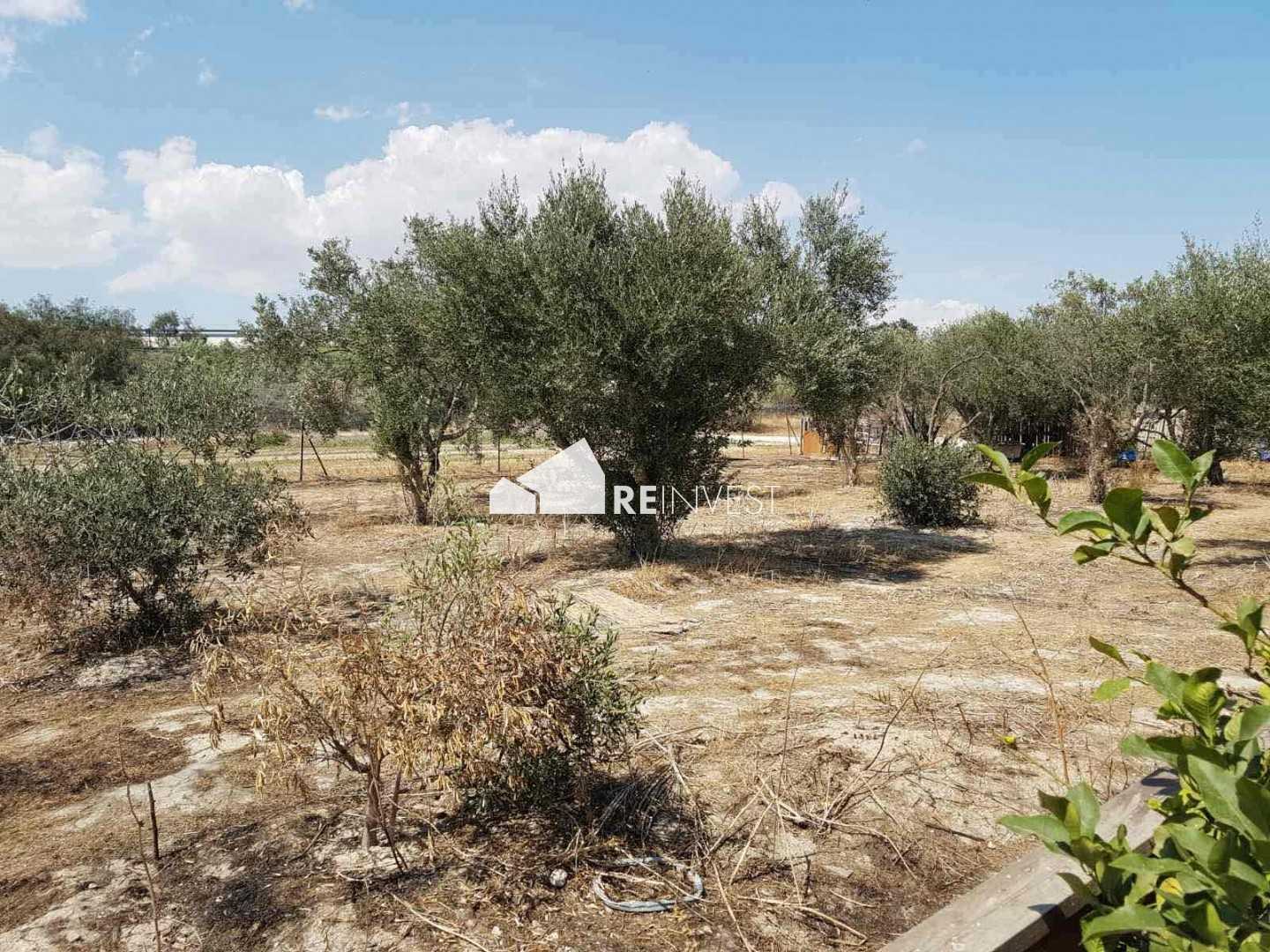 House in Aradippou, Larnaka 10767535