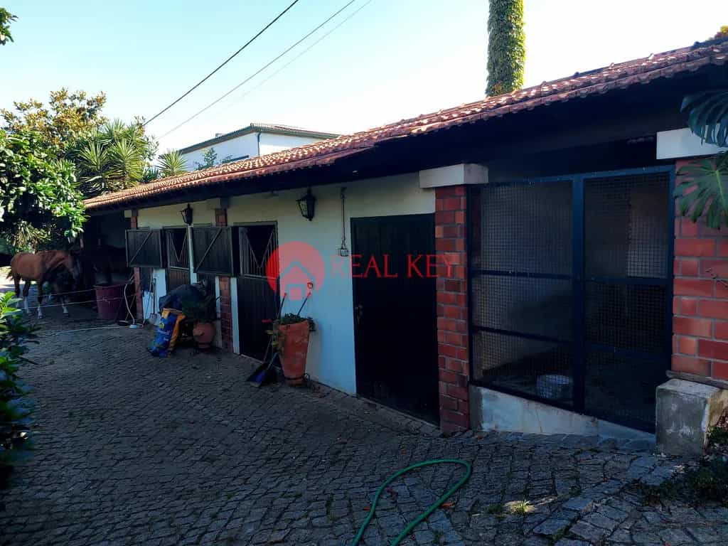 House in Viana do Castelo, null 10782604