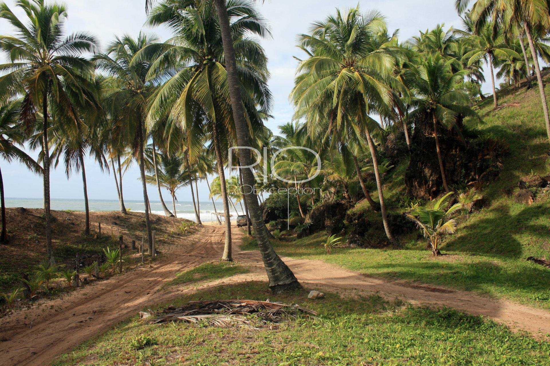 Land in Una, Bahia 10782990